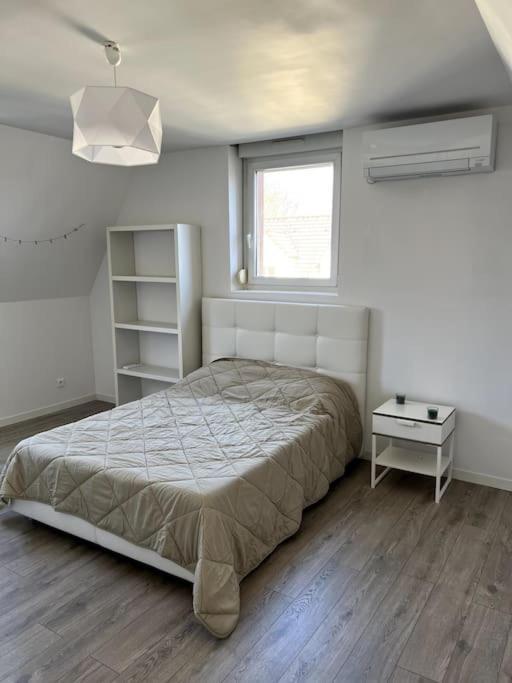 Appartement F5 Maison De Maitre มูลูส ภายนอก รูปภาพ