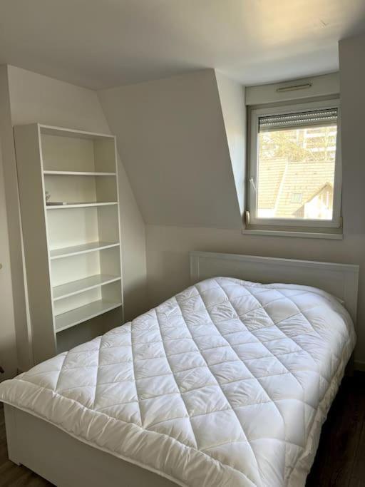 Appartement F5 Maison De Maitre มูลูส ภายนอก รูปภาพ