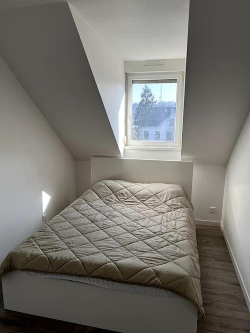 Appartement F5 Maison De Maitre มูลูส ภายนอก รูปภาพ